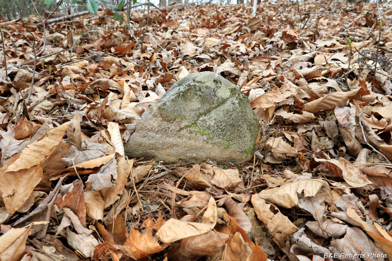 Grave_marker