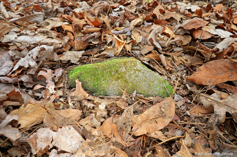 Grave_marker