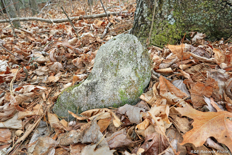 Grave_marker