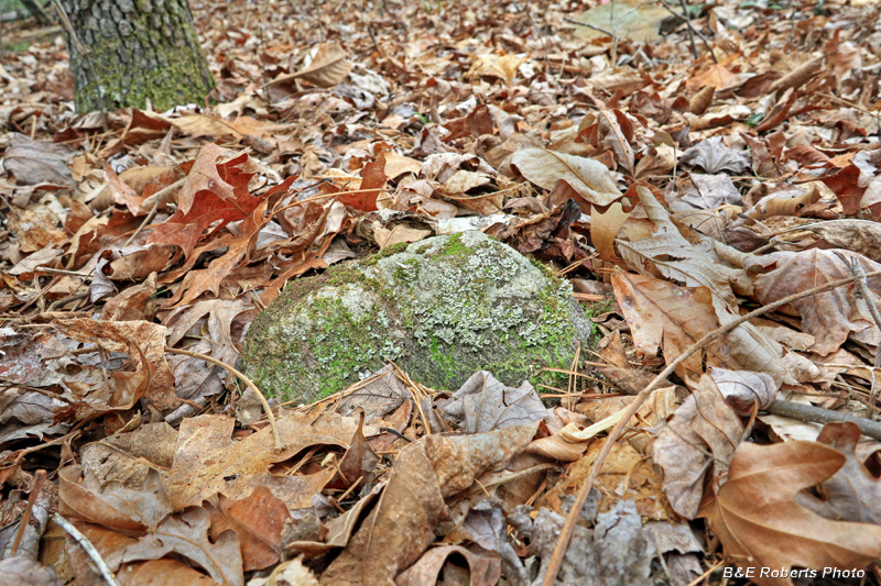 Grave_marker