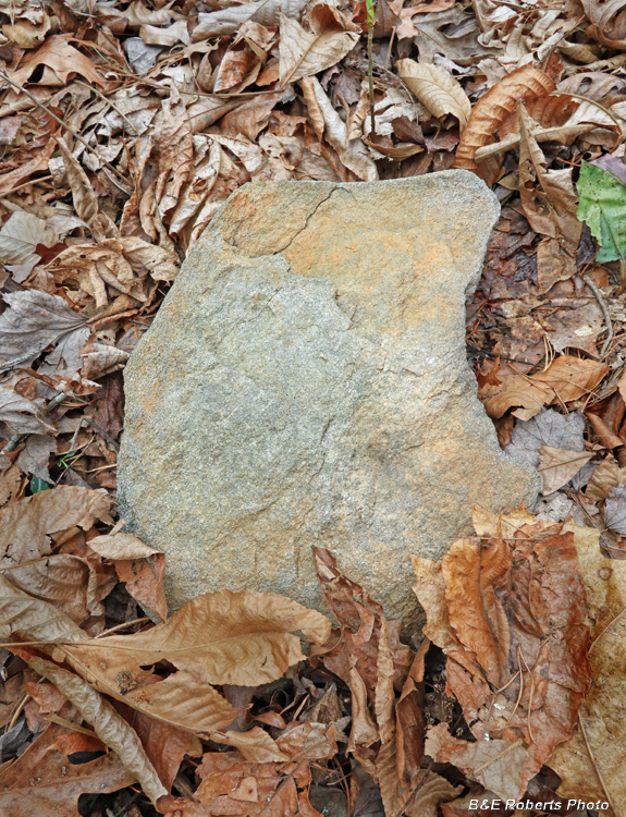 Grave_marker