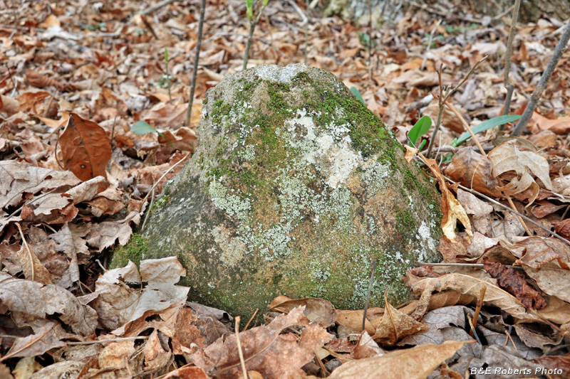 Grave_marker