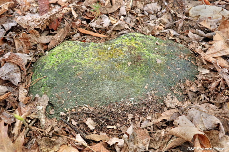 Grave_marker