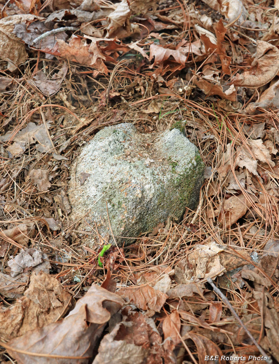 Grave_marker