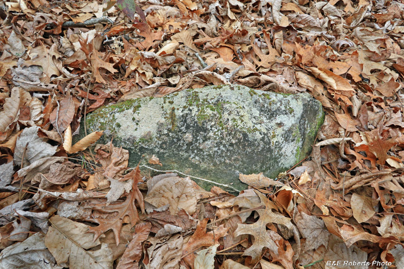 Grave_marker