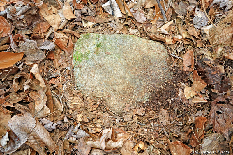 Grave_marker