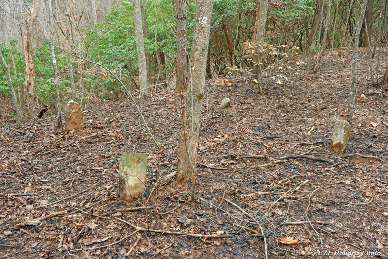 Grave_markers