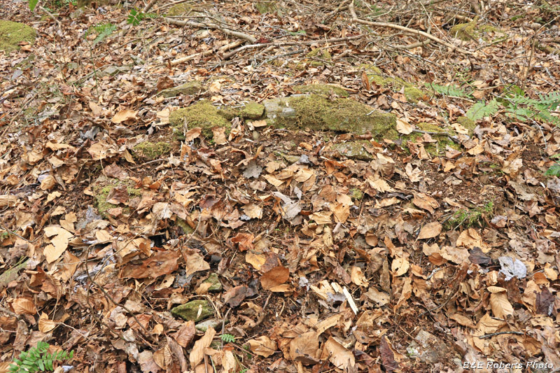 Scant_remains_of_Collapsed_Chimney