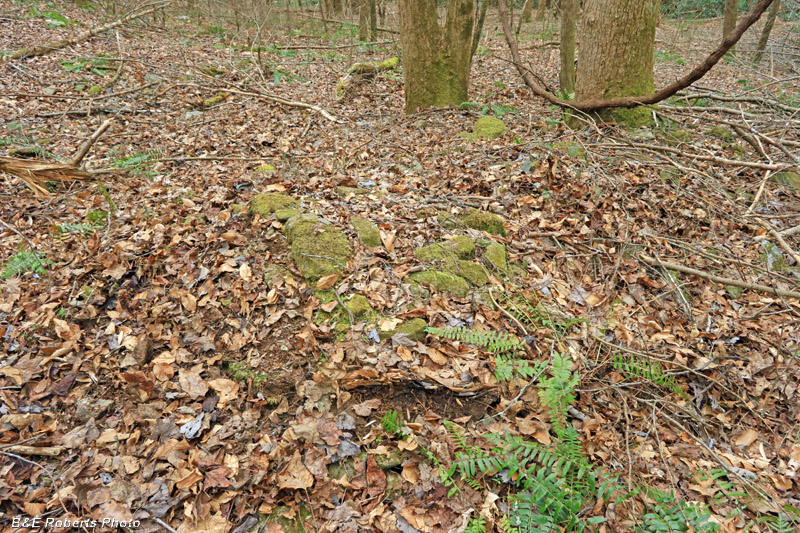 Scant_remains_of_Collapsed_Chimney