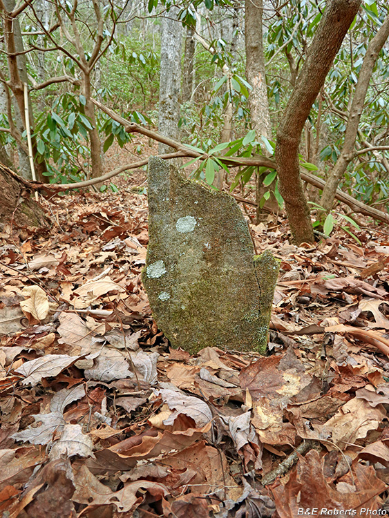 Grave_stone