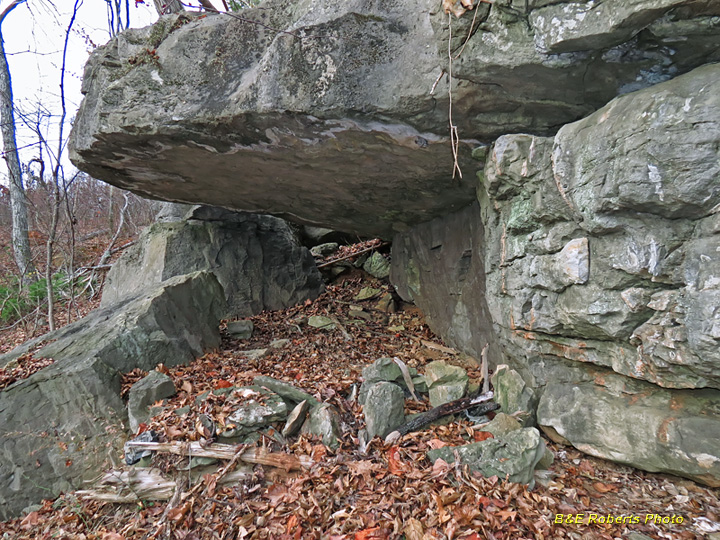 Rock_Shelter