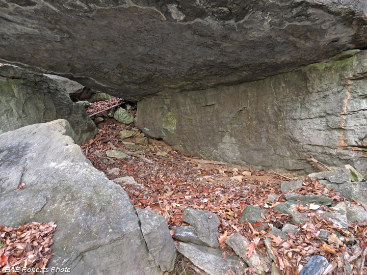 Rock_Shelter