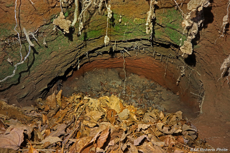 Tunnel_shaft