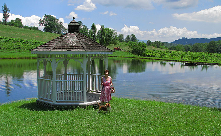 Gazebo