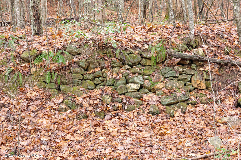 Stone-lined_bank