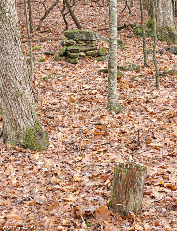 Collins_chimney_and_post