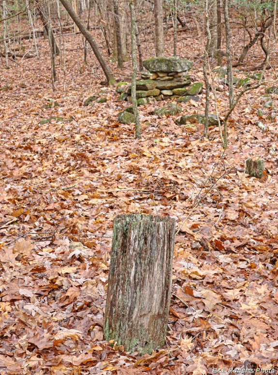 Collins_chimney_and_post