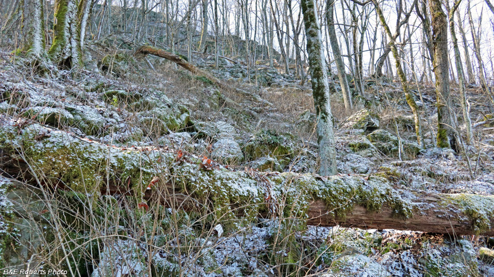 Boulderfield