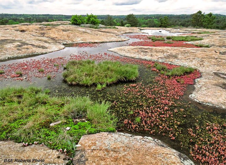 Summit_pools