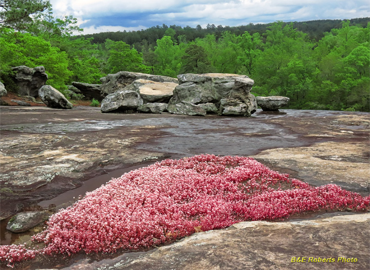 Diamorpha_Boulders