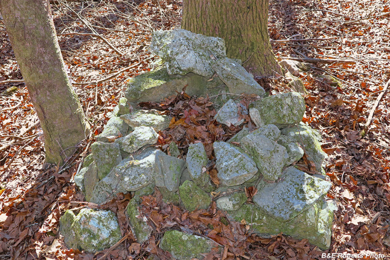 Rock_mound-pile