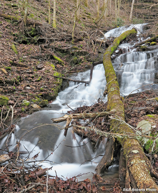 Double_Culvert_Lower_Falls