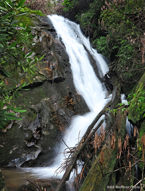 Cedar_Cliff_Branch-Rock_Mtn_Branch