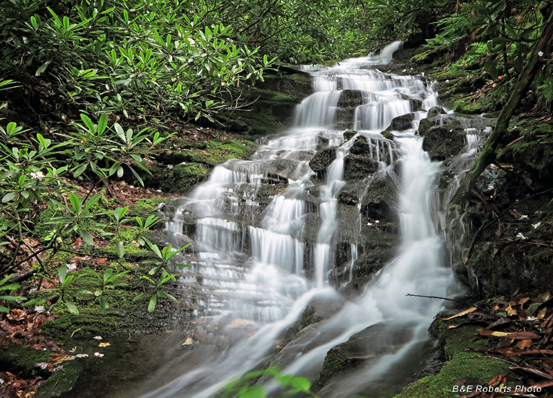 Falls_Branch_Falls