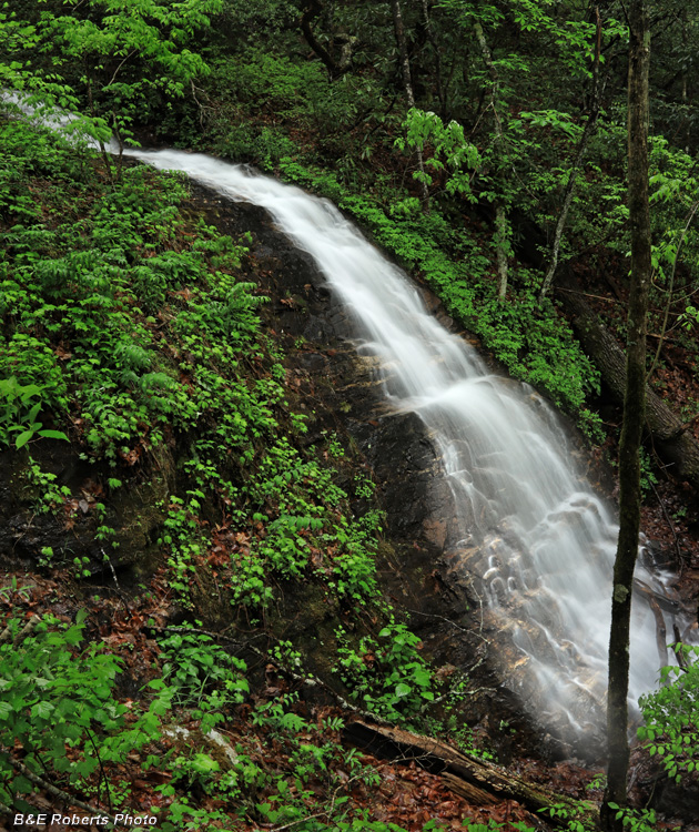 Falls_on_Smell_Creek_trib