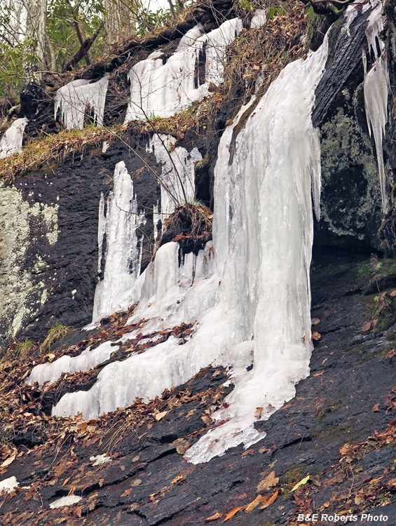 Icicles_Maney_Trib