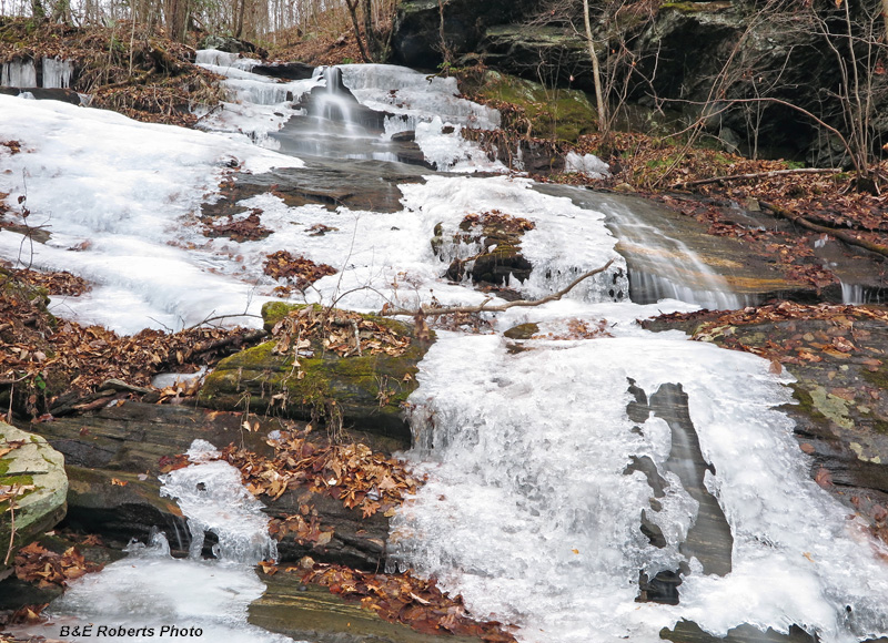 Maney_Branch_Upper_Section-falls