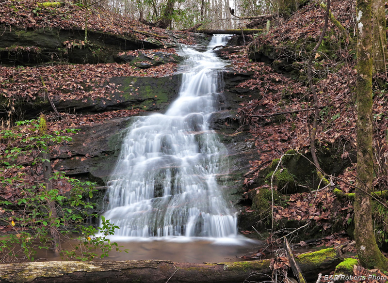 Morgan_Branch_Lwr_Falls