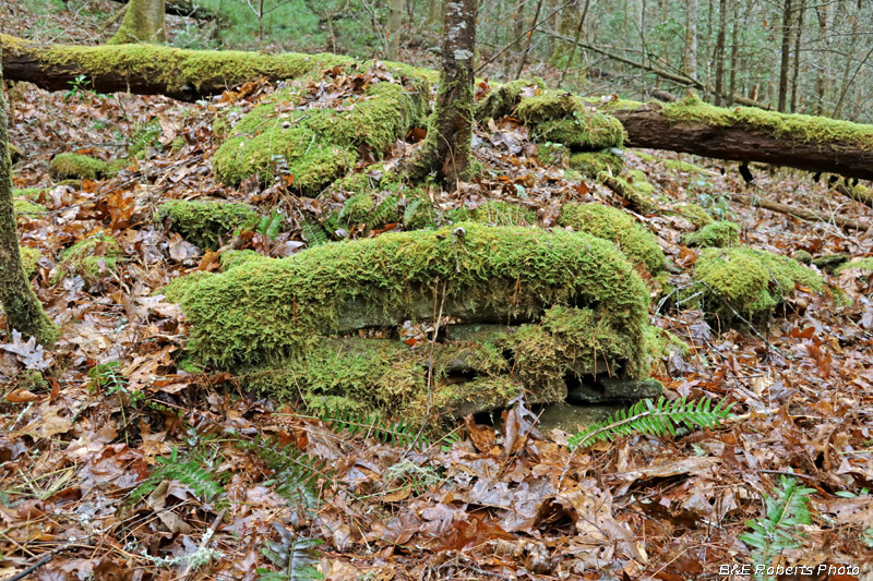 Chimney_stones