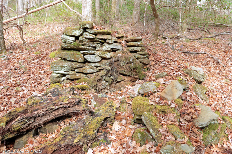 Chimney_remains