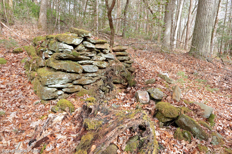 Chimney_remains