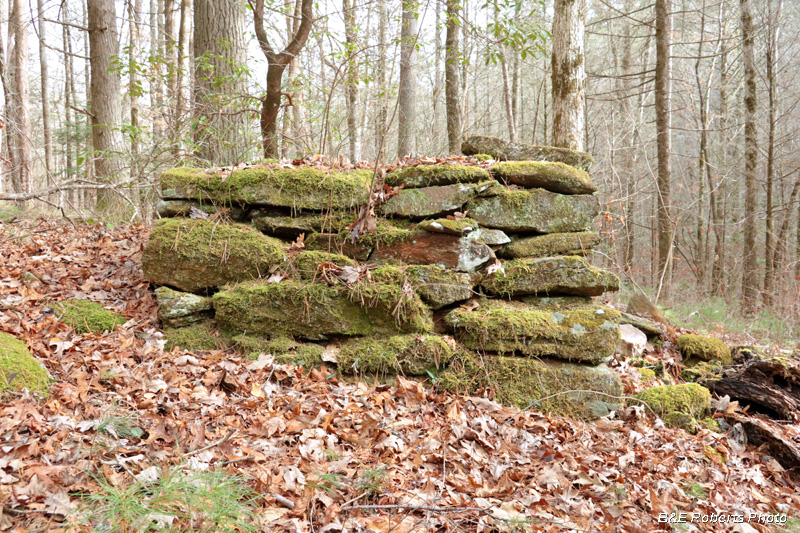 Chimney_remains