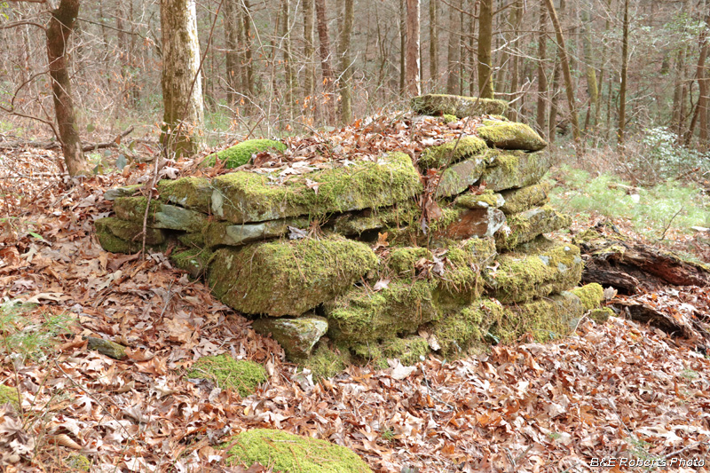 Chimney_remains