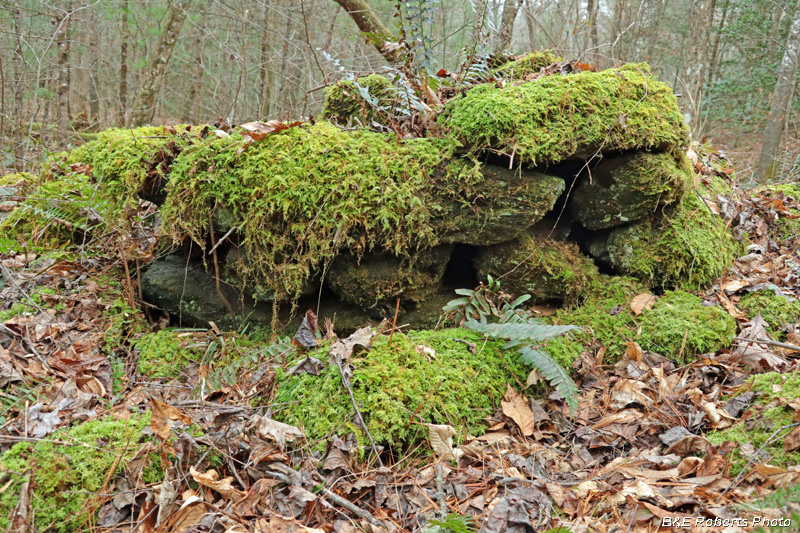 Collapsed_chimney