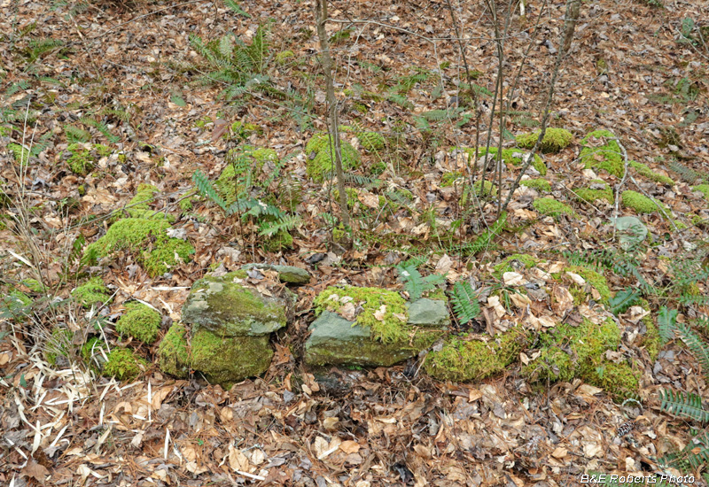 Collapsed_chimney