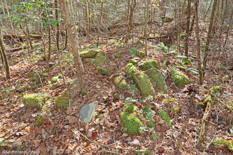 Collapsed_chimney