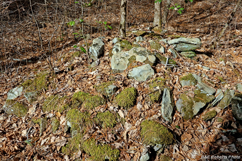 Chimney_pile