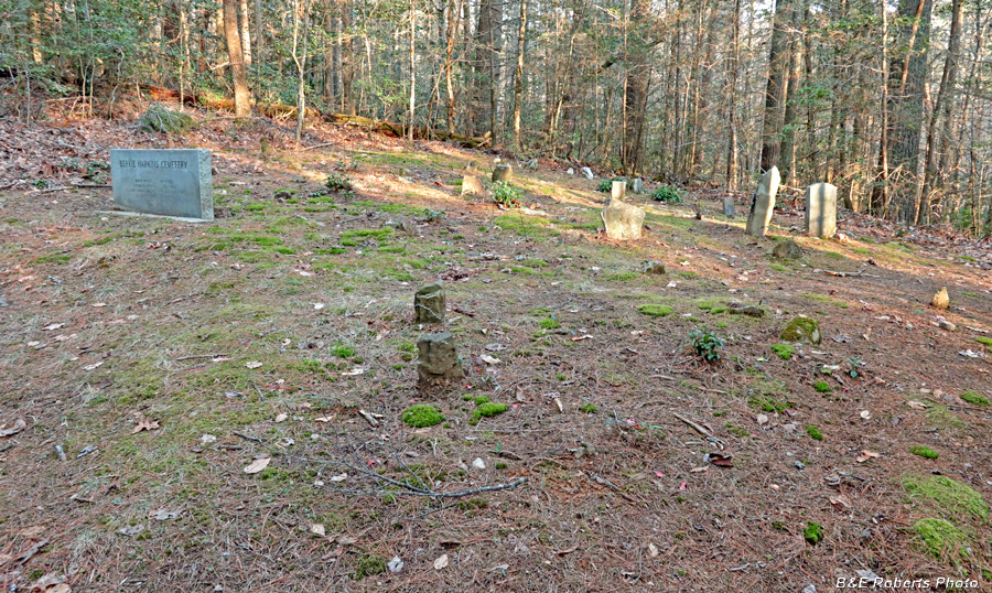 Cemetery _overview