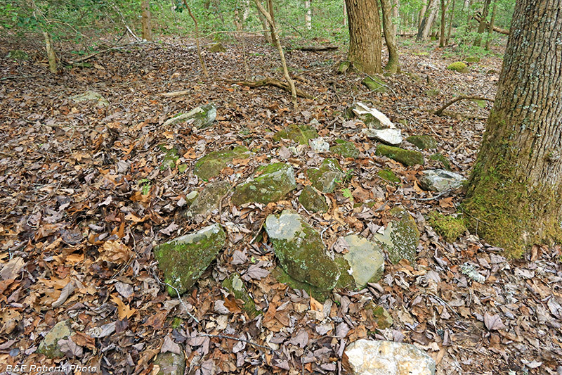 Collapsed_Chimney