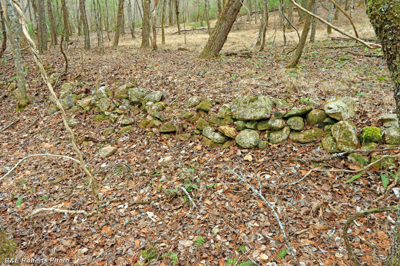 Terrace-wall