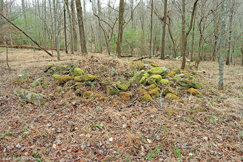 Collapsed_chimney