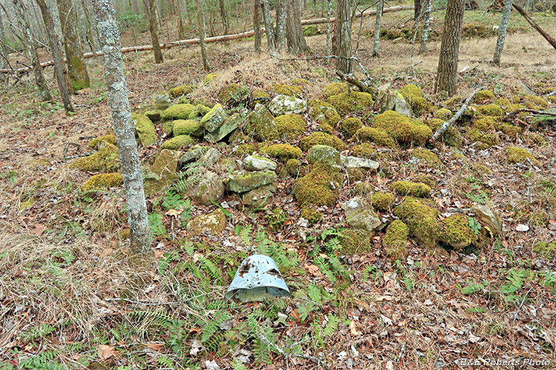 Collapsed_chimney