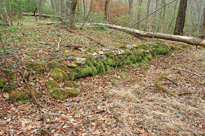 Terrace-wall