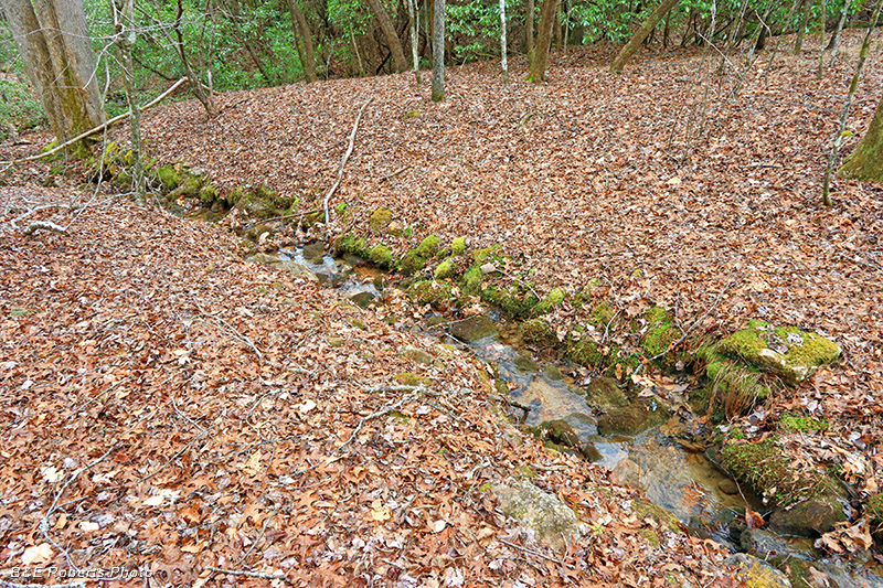 Creek_Flume