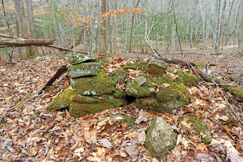 Collapsed_Chimney