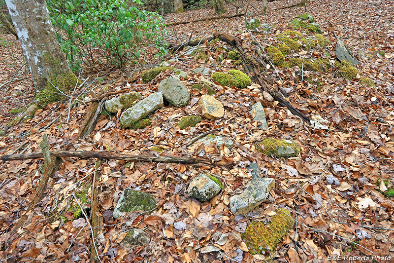 Collapsed_Chimney